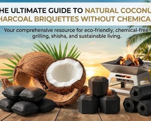 The Ultimate Guide to Natural Coconut Charcoal Briquettes Without Chemicals