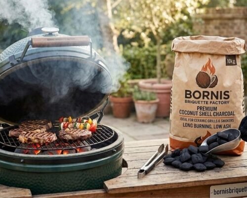 The Best Coconut Charcoal for Ceramic Grills and Smokers